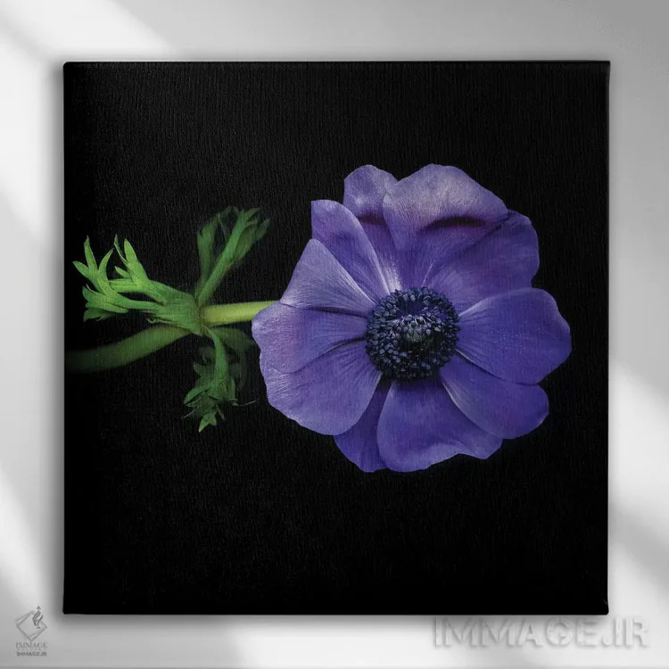 تابلو دکوراتیو شقایق های دریایی دهم اثر مگدا ایندیگو - نمای روبهرو روی دیوار