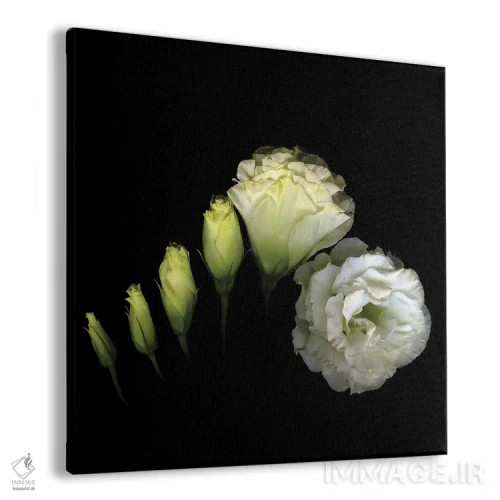 تابلو دکوراتیو پیچش اثر مگدا ایندیگو - نمای پرسپکتیو محصول