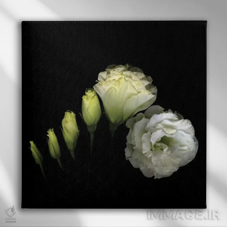 تابلو دکوراتیو پیچش اثر مگدا ایندیگو - نمای روبهرو روی دیوار