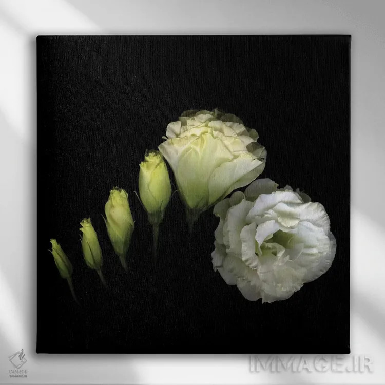 تابلو دکوراتیو پیچش اثر مگدا ایندیگو - نمای روبهرو روی دیوار
