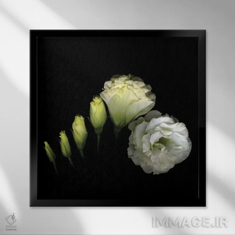 تابلو دکوراتیو پیچش اثر مگدا ایندیگو - نمای قابدار مشکی