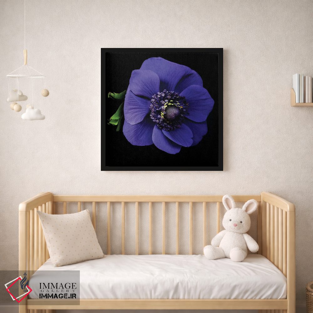 تابلو دکوراتیو شقایق دریایی اول اثر مگدا ایندیگو - D2B