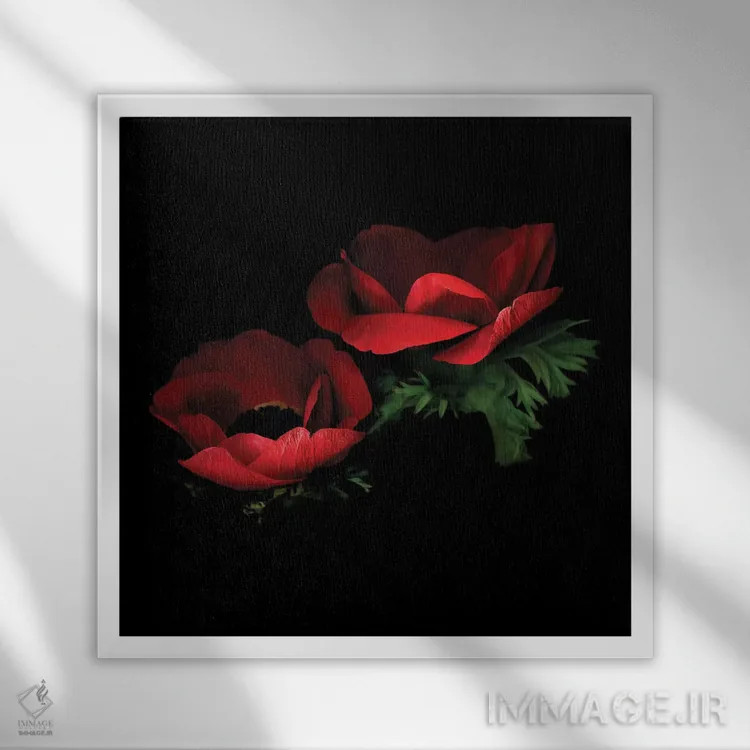 تابلو دکوراتیو شقایق دریایی قرمز هشتم اثر مگدا ایندیگو - نمای قابدار سفید