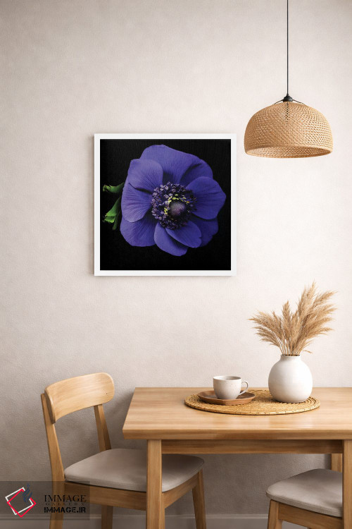 تابلو دکوراتیو شقایق دریایی اول اثر مگدا ایندیگو - D1W