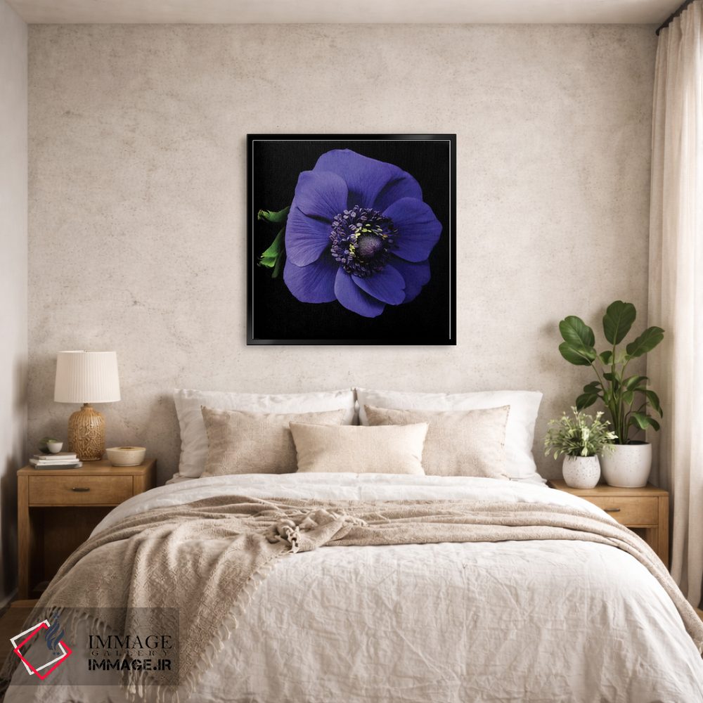 تابلو دکوراتیو شقایق دریایی اول اثر مگدا ایندیگو - D6B