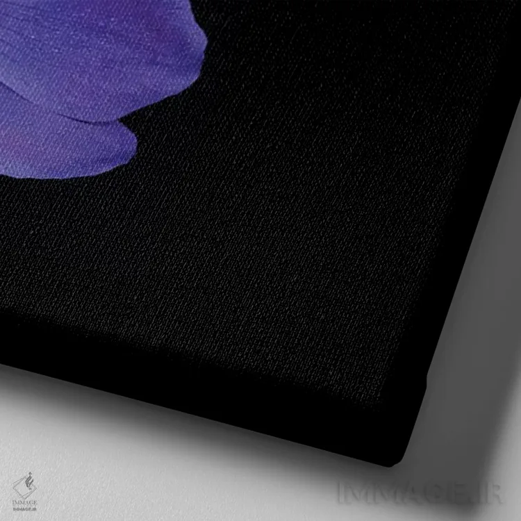 تابلو دکوراتیو شقایق های دریایی دوم اثر مگدا ایندیگو - نمای نزدیک بافت بوم