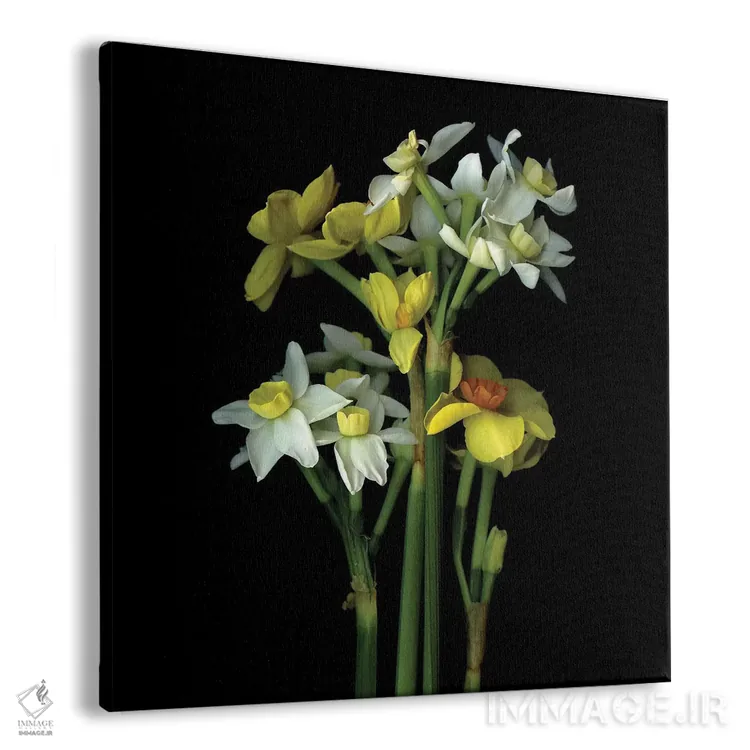 تابلو دکوراتیو نرگس کوچک ششم اثر مگدا ایندیگو - نمای پرسپکتیو محصول