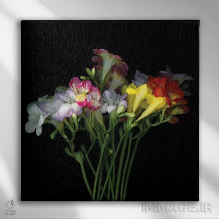 تابلو دکوراتیو فریزیا هفتم اثر مگدا ایندیگو - نمای روبهرو روی دیوار