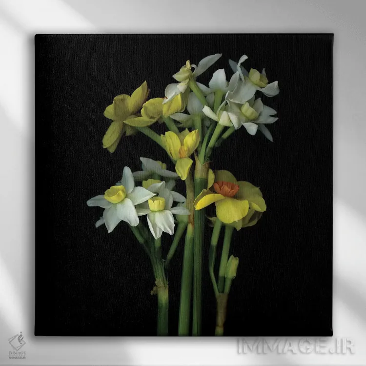 تابلو دکوراتیو نرگس کوچک ششم اثر مگدا ایندیگو - نمای روبهرو روی دیوار
