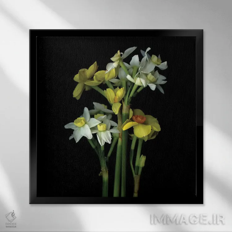تابلو دکوراتیو نرگس کوچک ششم اثر مگدا ایندیگو - نمای قابدار مشکی