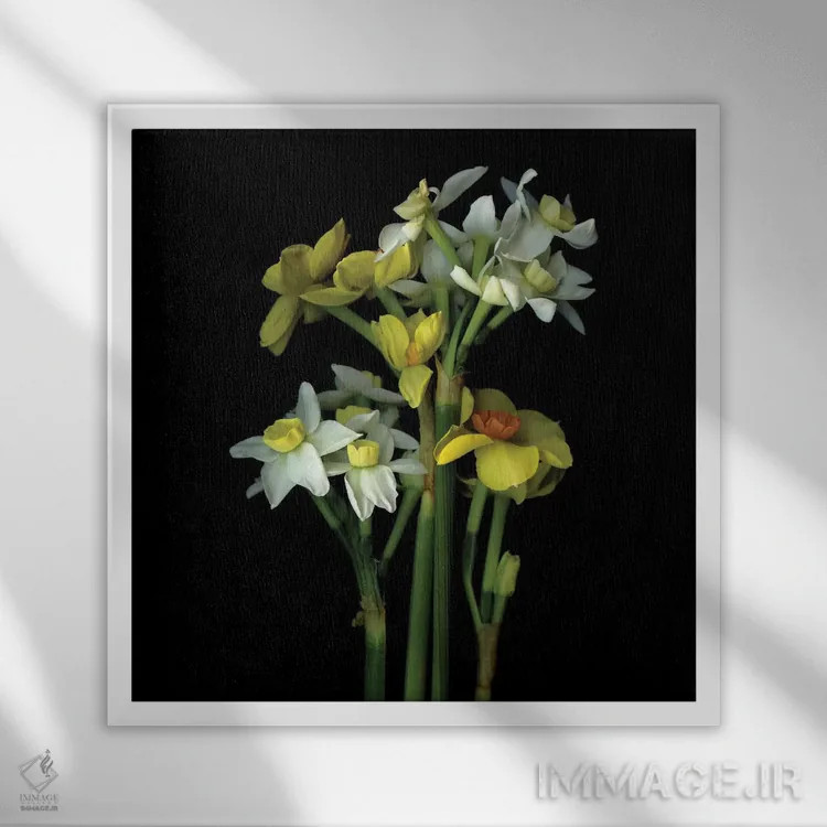 تابلو دکوراتیو نرگس کوچک ششم اثر مگدا ایندیگو - نمای قابدار سفید