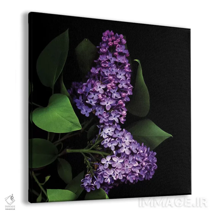 تابلو دکوراتیو ارغوانی تیره اثر مگدا ایندیگو - نمای پرسپکتیو محصول