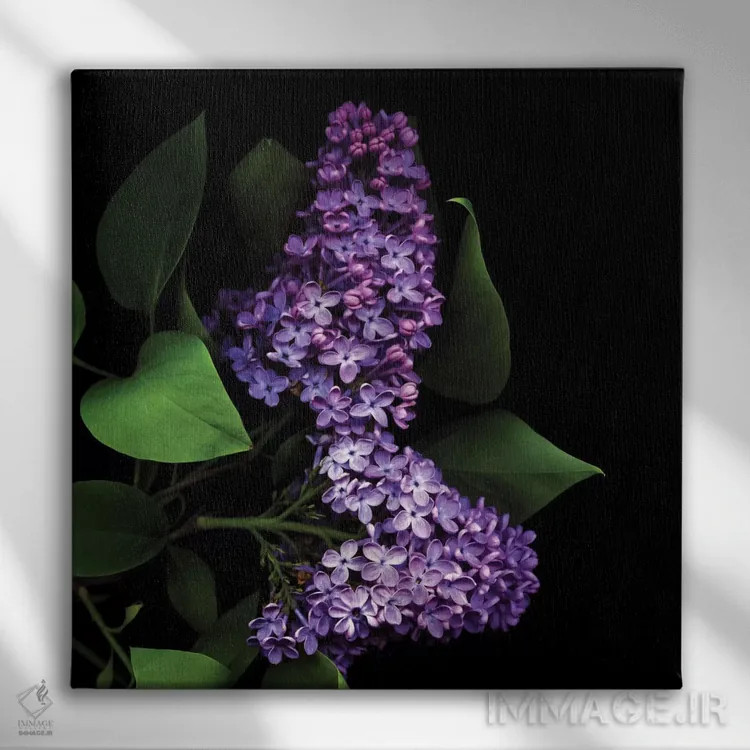 تابلو دکوراتیو ارغوانی تیره اثر مگدا ایندیگو - نمای روبهرو روی دیوار