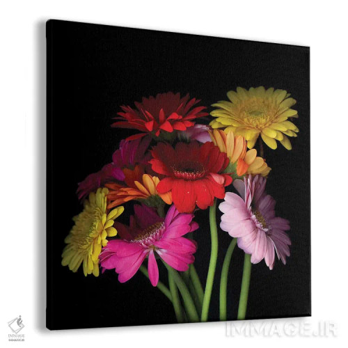 تابلو دکوراتیو ژربرا اول اثر مگدا ایندیگو - نمای پرسپکتیو محصول