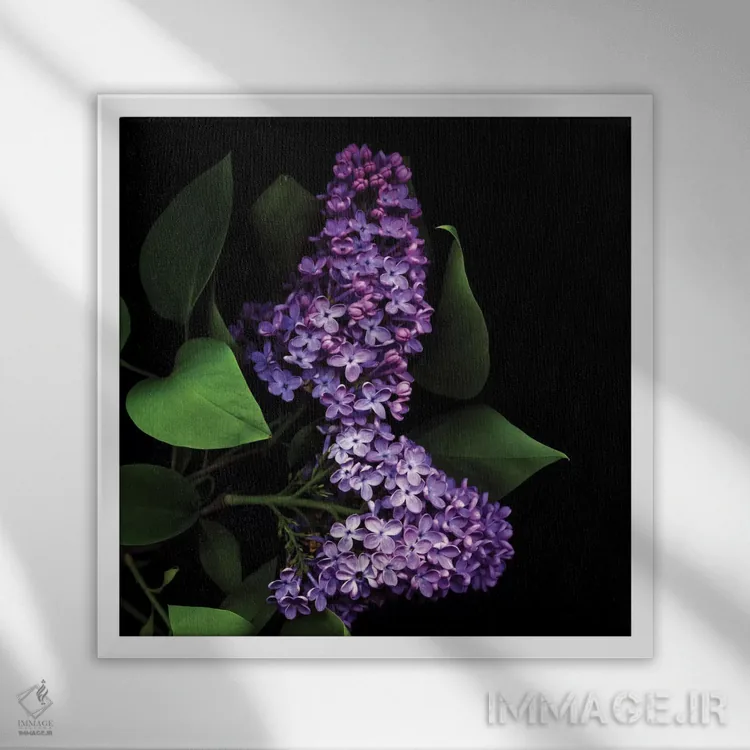 تابلو دکوراتیو ارغوانی تیره اثر مگدا ایندیگو - نمای قابدار سفید