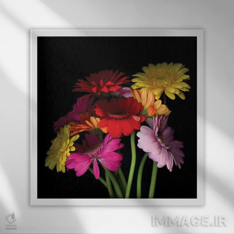 تابلو دکوراتیو ژربرا اول اثر مگدا ایندیگو - نمای قابدار سفید