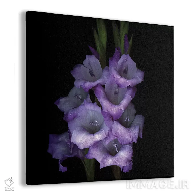 تابلو دکوراتیو گلادیول بنفش سوم اثر مگدا ایندیگو - نمای پرسپکتیو محصول