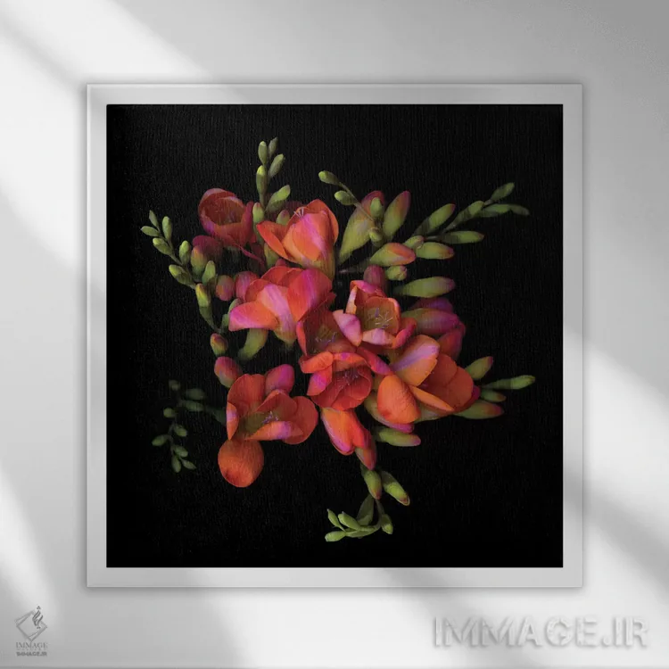 تابلو دکوراتیو فریزیا نارنجی هشتم اثر مگدا ایندیگو - نمای قابدار سفید