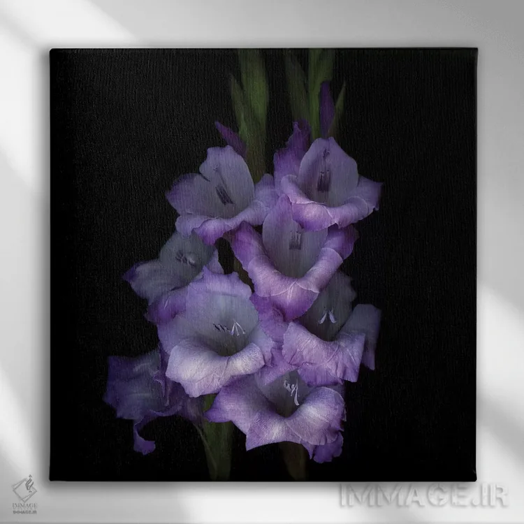 تابلو دکوراتیو گلادیول بنفش سوم اثر مگدا ایندیگو - نمای روبهرو روی دیوار