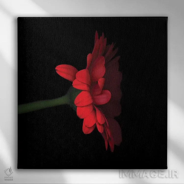 تابلو دکوراتیو ژربرا قرمز پنجم اثر مگدا ایندیگو - نمای روبهرو روی دیوار