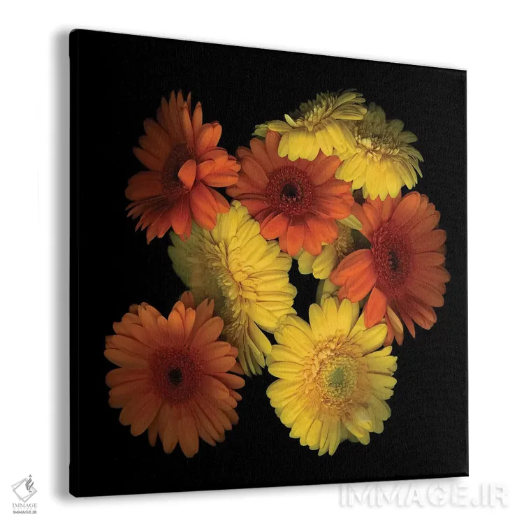 تابلو دکوراتیو ژربرا نهم اثر مگدا ایندیگو - نمای پرسپکتیو محصول