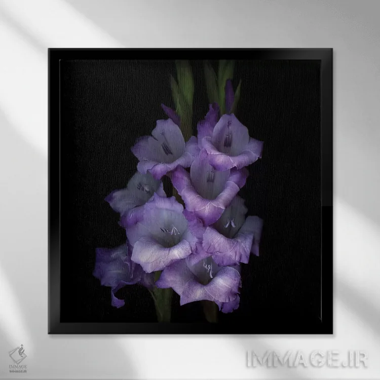 تابلو دکوراتیو گلادیول بنفش سوم اثر مگدا ایندیگو - نمای قابدار مشکی