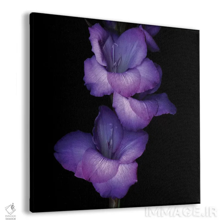 تابلو دکوراتیو گلادیول بنفش دوم اثر مگدا ایندیگو - نمای پرسپکتیو محصول