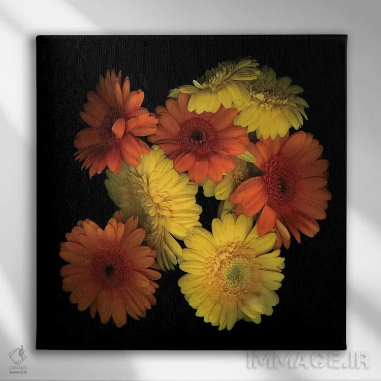 تابلو دکوراتیو ژربرا نهم اثر مگدا ایندیگو - نمای روبهرو روی دیوار