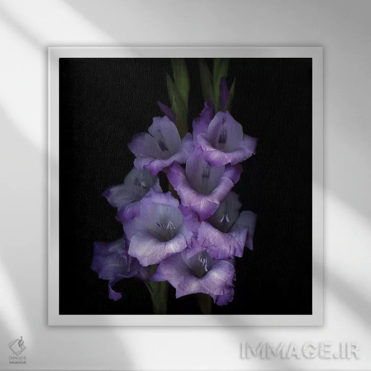 تابلو دکوراتیو گلادیول بنفش سوم اثر مگدا ایندیگو - نمای قابدار سفید