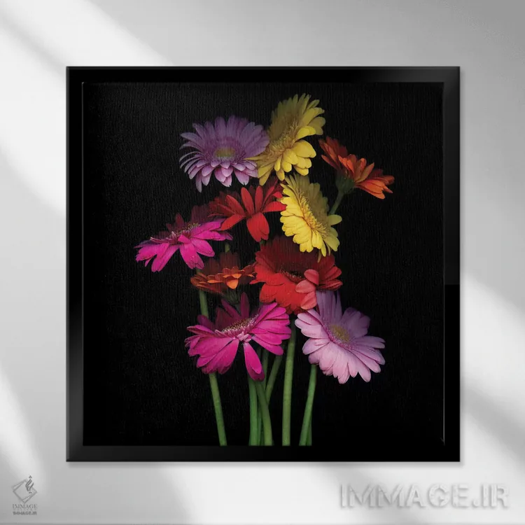 تابلو دکوراتیو ژربرا دوم اثر مگدا ایندیگو - نمای قابدار مشکی