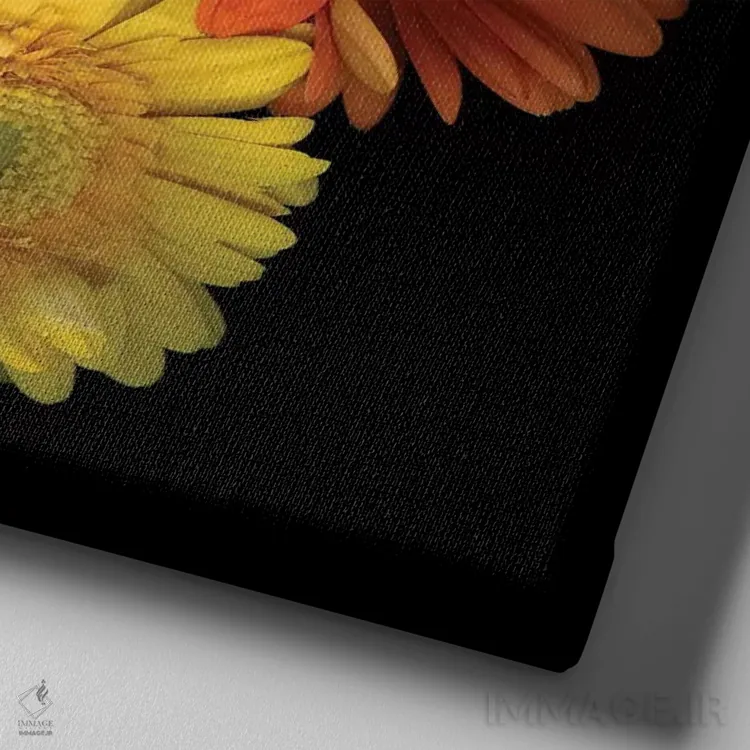 تابلو دکوراتیو ژربرا نهم اثر مگدا ایندیگو - نمای نزدیک بافت بوم