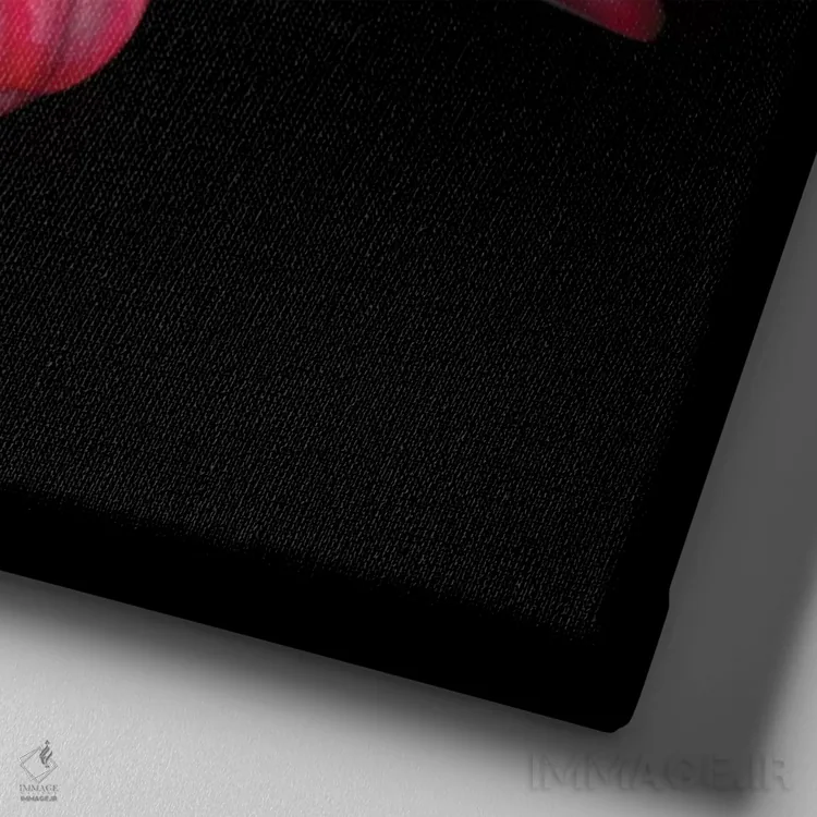 تابلو دکوراتیو ژربرا ششم اثر مگدا ایندیگو - نمای نزدیک بافت بوم