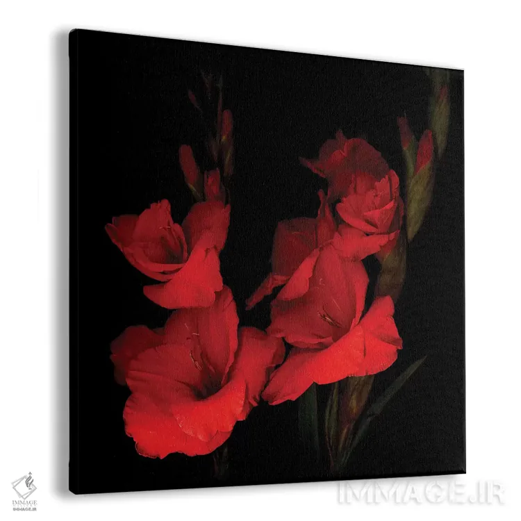 تابلو دکوراتیو گلادیول قرمز یازدهم اثر مگدا ایندیگو - نمای پرسپکتیو محصول