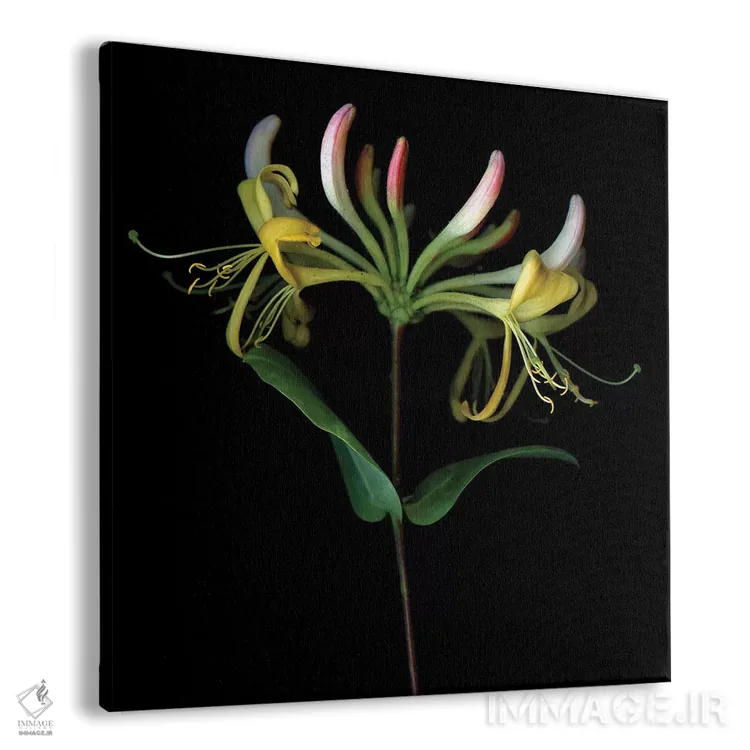 تابلو دکوراتیو پیچ امین الدوله سیزدهم اثر مگدا ایندیگو - نمای پرسپکتیو محصول