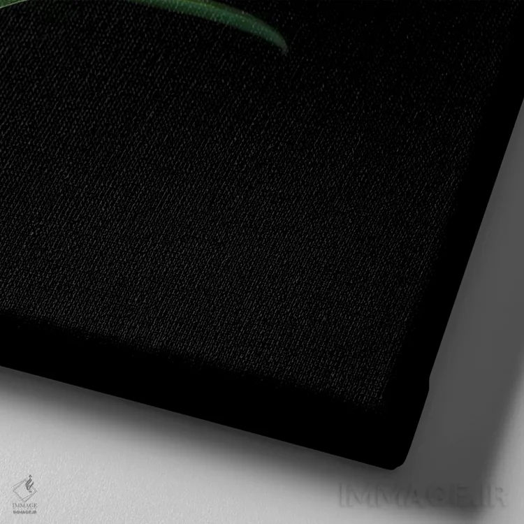 تابلو دکوراتیو پیچ امین الدوله سیزدهم اثر مگدا ایندیگو - نمای نزدیک بافت بوم