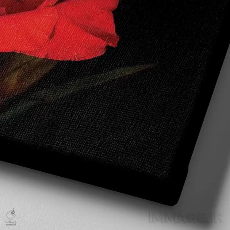 تابلو دکوراتیو گلادیول قرمز یازدهم اثر مگدا ایندیگو - نمای نزدیک بافت بوم