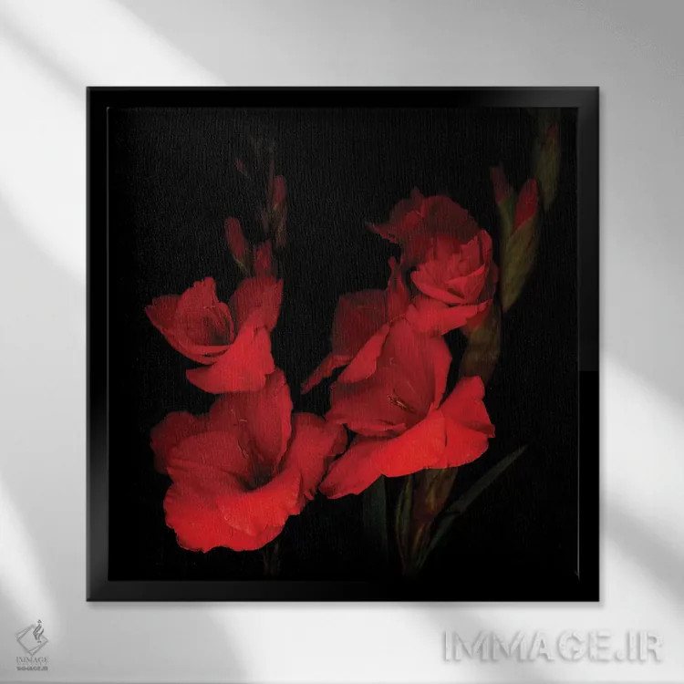 تابلو دکوراتیو گلادیول قرمز یازدهم اثر مگدا ایندیگو - نمای قابدار مشکی