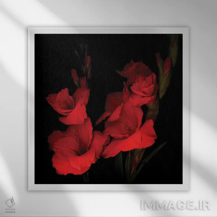 تابلو دکوراتیو گلادیول قرمز یازدهم اثر مگدا ایندیگو - نمای قابدار سفید