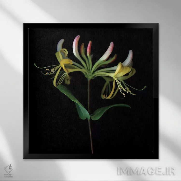 تابلو دکوراتیو پیچ امین الدوله سیزدهم اثر مگدا ایندیگو - نمای قابدار مشکی