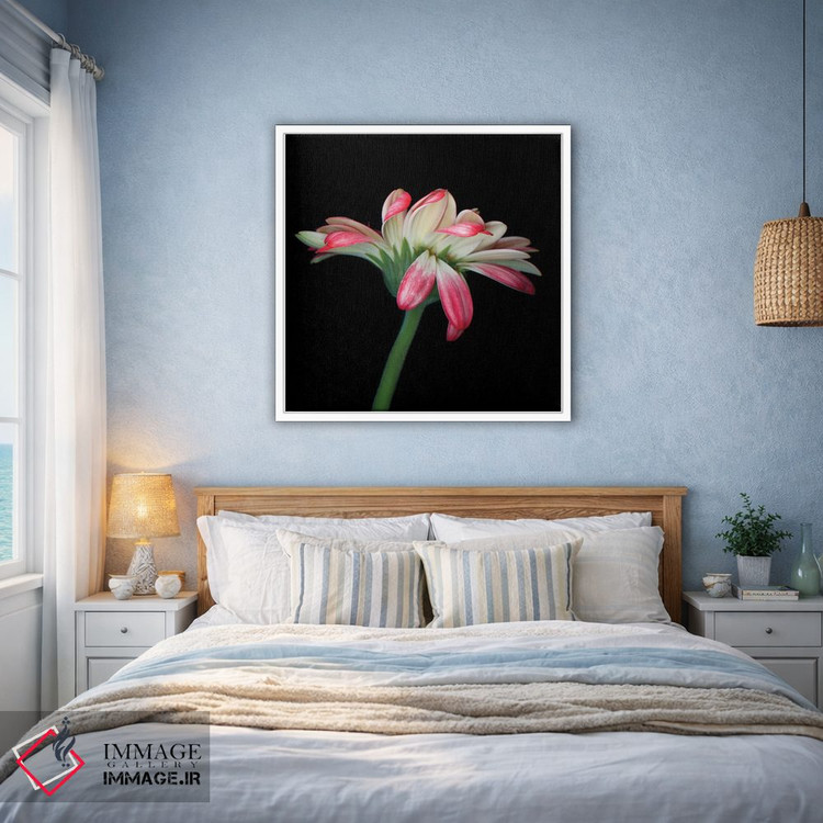 تابلو دکوراتیو ژربرا ششم اثر مگدا ایندیگو - D2W