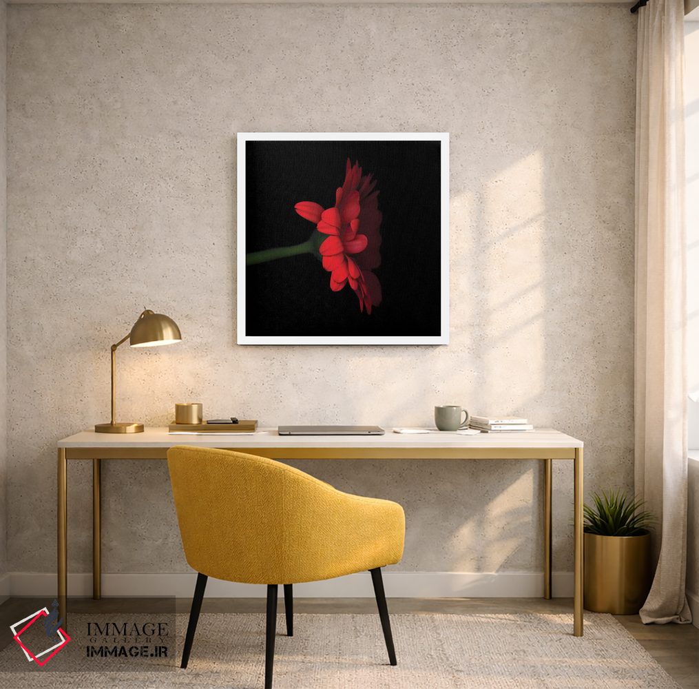 تابلو دکوراتیو ژربرا قرمز پنجم اثر مگدا ایندیگو - D6W