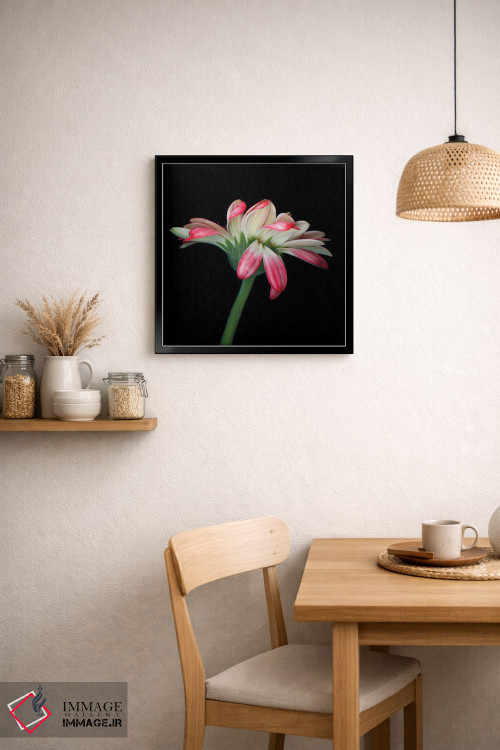 تابلو دکوراتیو ژربرا ششم اثر مگدا ایندیگو - D4B