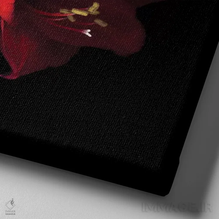 تابلو دکوراتیو عشق جادویی اثر مگدا ایندیگو - نمای نزدیک بافت بوم