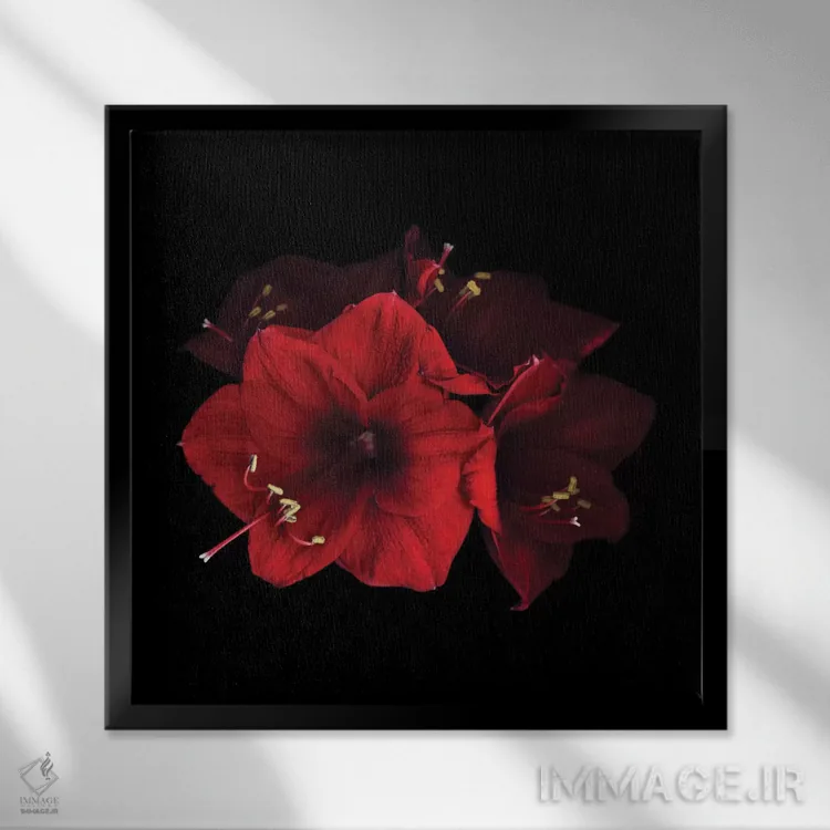 تابلو دکوراتیو عشق جادویی اثر مگدا ایندیگو - نمای قابدار مشکی