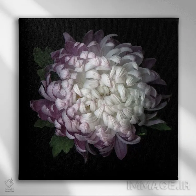 تابلو دکوراتیو داوودی بنفش چهارم اثر مگدا ایندیگو - نمای روبهرو روی دیوار