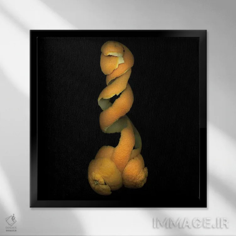 تابلو دکوراتیو پوست پرتقال هشتم اثر مگدا ایندیگو - نمای قابدار مشکی