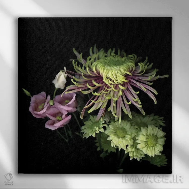 تابلو دکوراتیو داوودی های ویژه سیزدهم اثر مگدا ایندیگو - نمای روبهرو روی دیوار