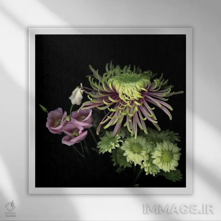 تابلو دکوراتیو داوودی های ویژه سیزدهم اثر مگدا ایندیگو - نمای قابدار سفید