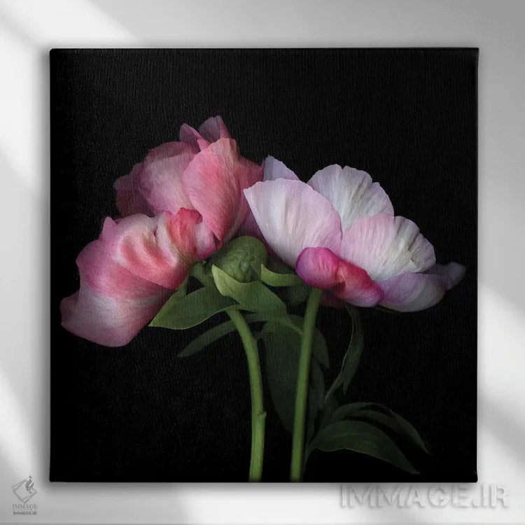 تابلو دکوراتیو صدتومانی چهل ونهم اثر مگدا ایندیگو - نمای روبهرو روی دیوار