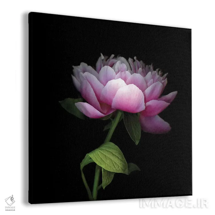 تابلو دکوراتیو صدتومانی چینی دوازدهم اثر مگدا ایندیگو - نمای پرسپکتیو محصول